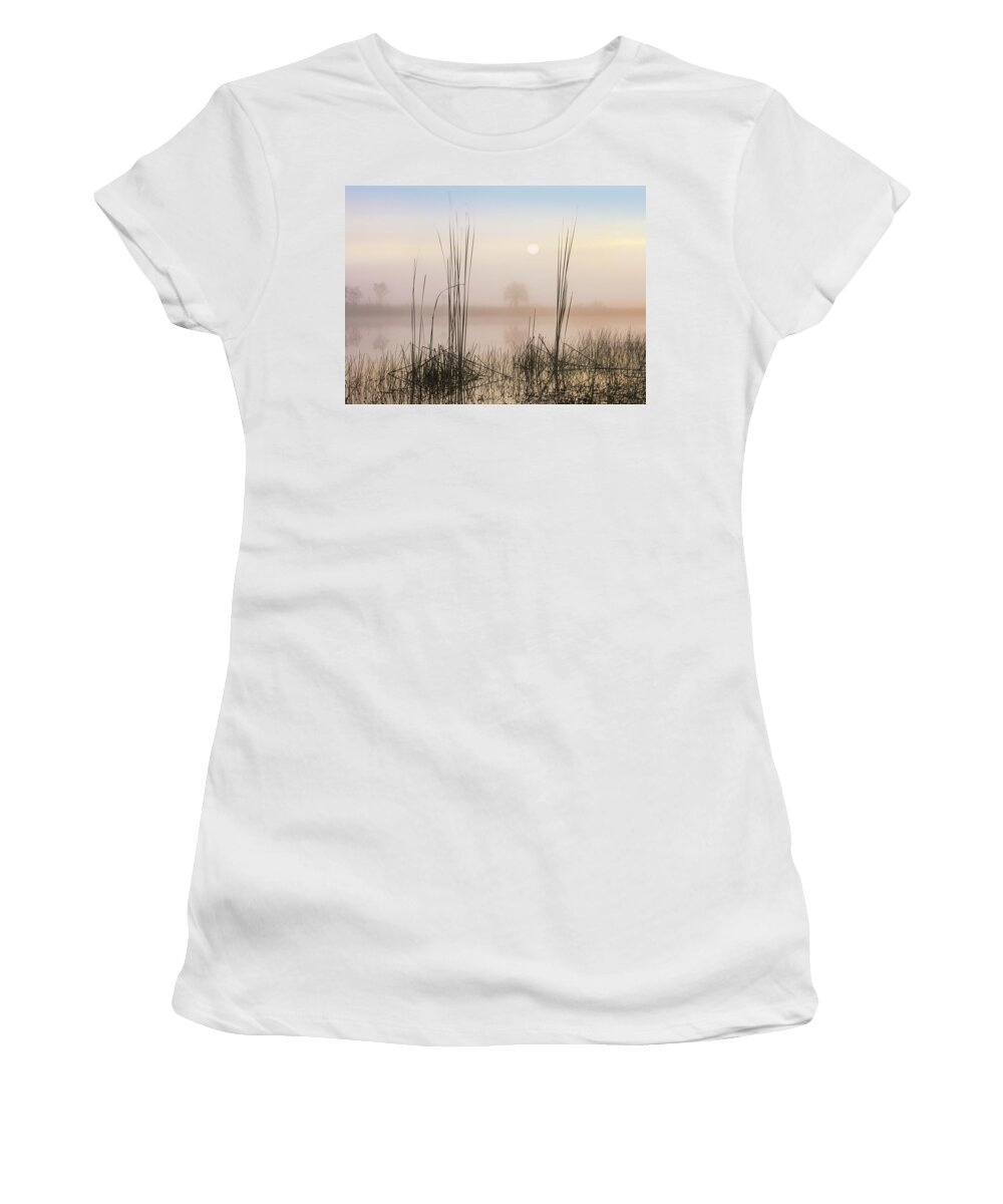 Feb0514 Women's T-Shirt featuring the photograph Reeds In Sweet Bay Pond Everglades Np by Tim Fitzharris