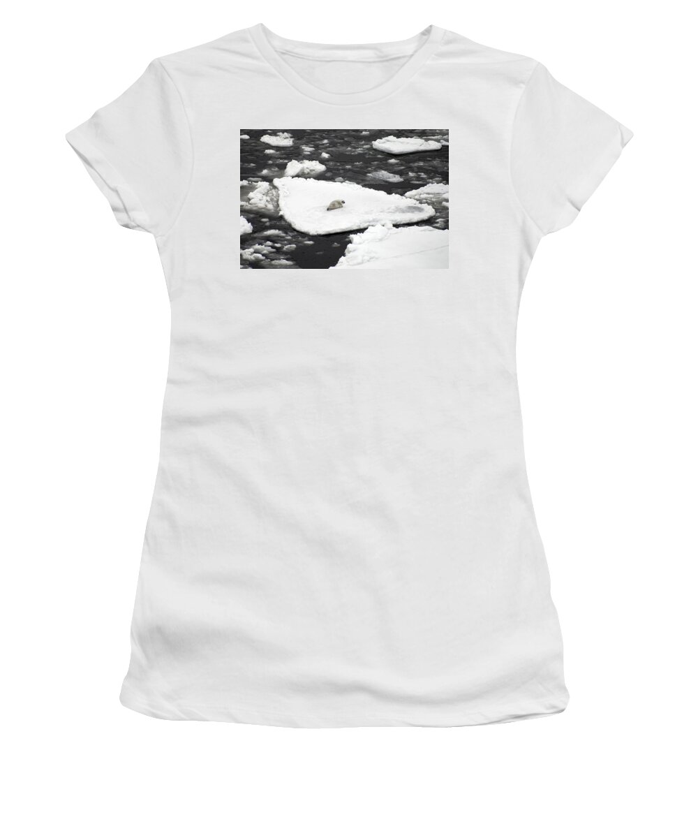 Alaska Fauna Women's T-Shirt featuring the photograph Ribbon Seal Pup by Carleton Ray