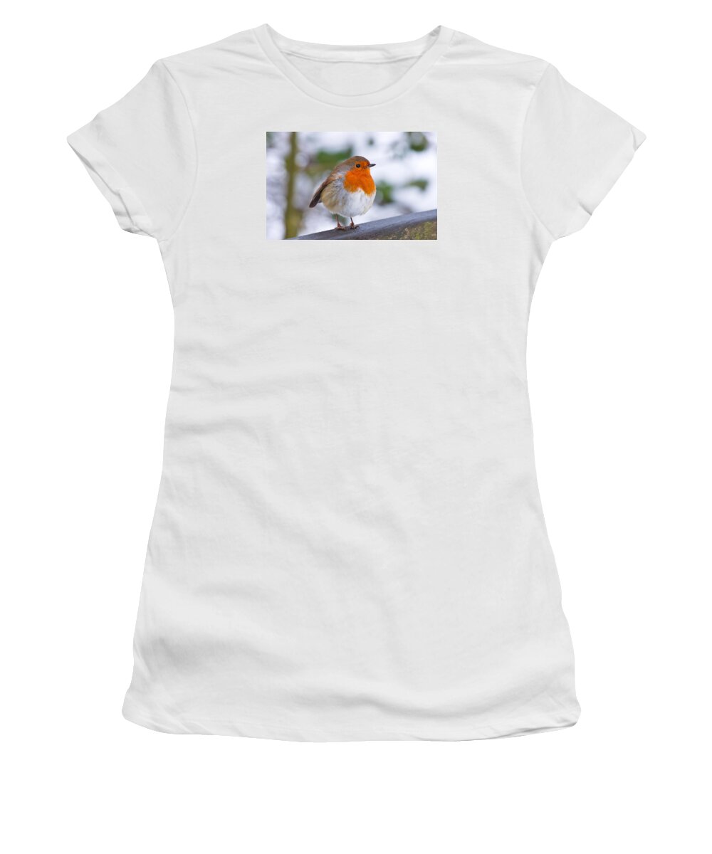 Robin Women's T-Shirt featuring the photograph Robin Redbreast by Scott Carruthers