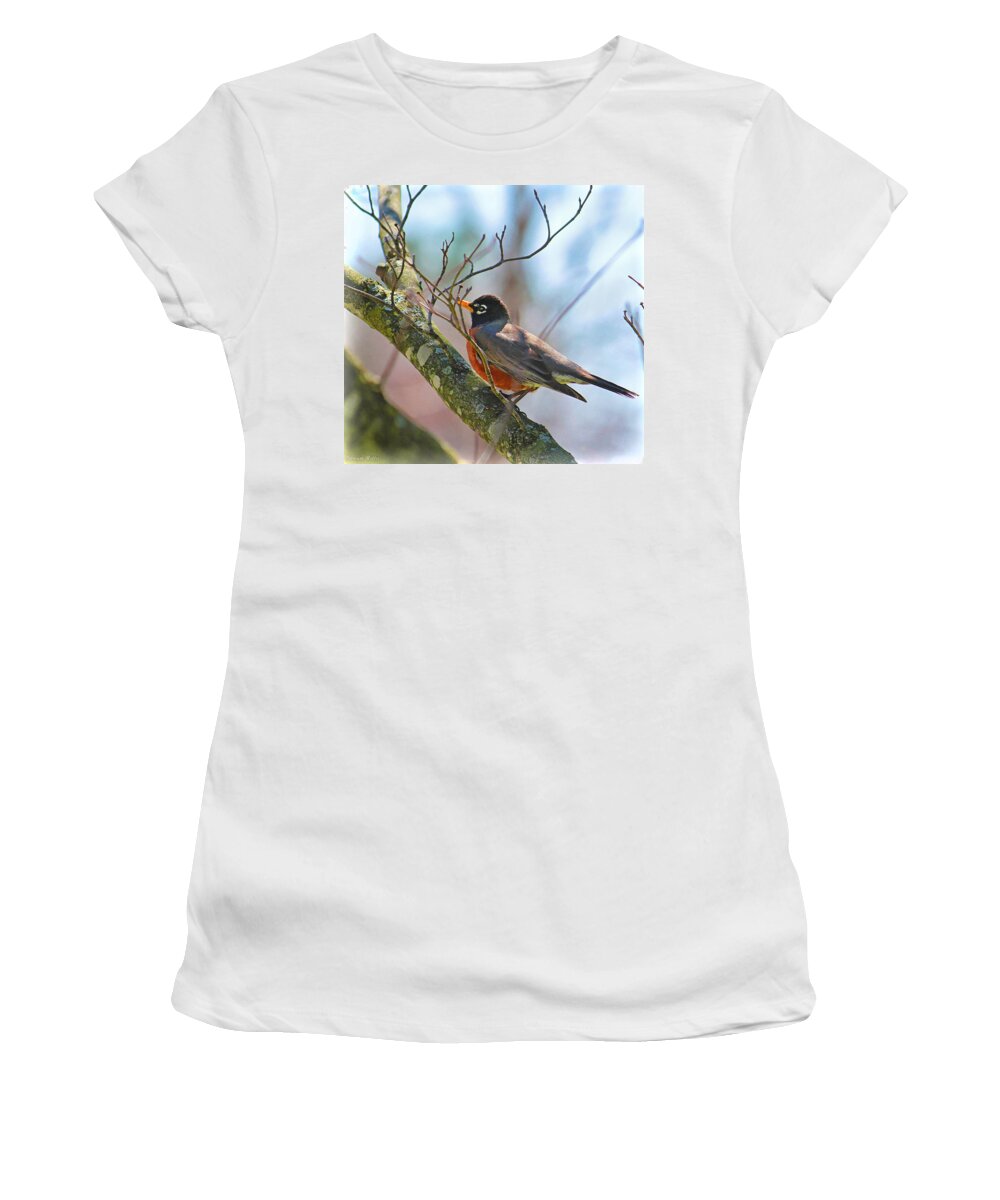 Robin Women's T-Shirt featuring the photograph Robin by Bonnie Willis