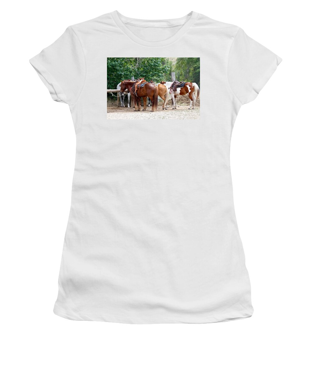 Horses Women's T-Shirt featuring the photograph Saddled by Athena Mckinzie