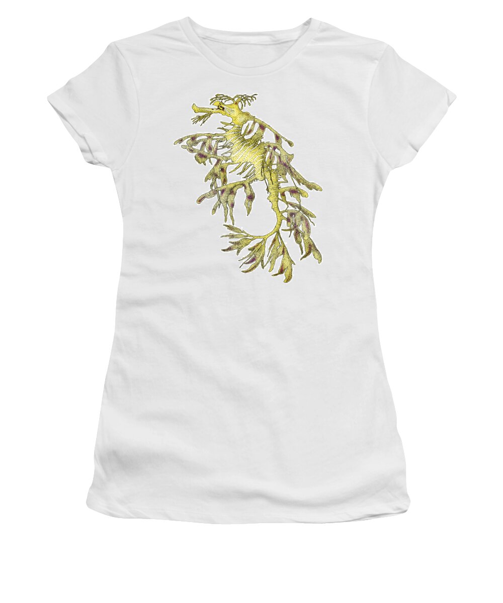 Illustration Women's T-Shirt featuring the photograph Sea Dragon by Roger Hall