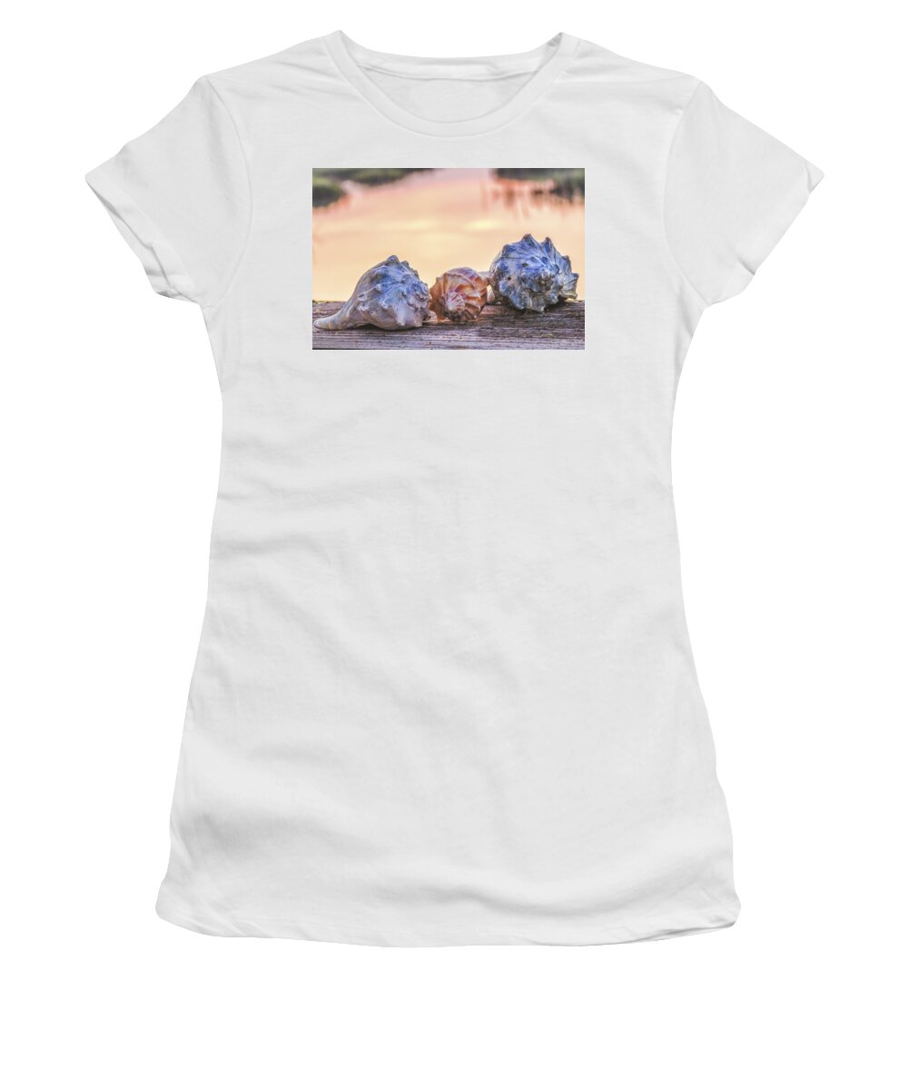 Shell Women's T-Shirt featuring the photograph Sea Shells Image Art by Jo Ann Tomaselli
