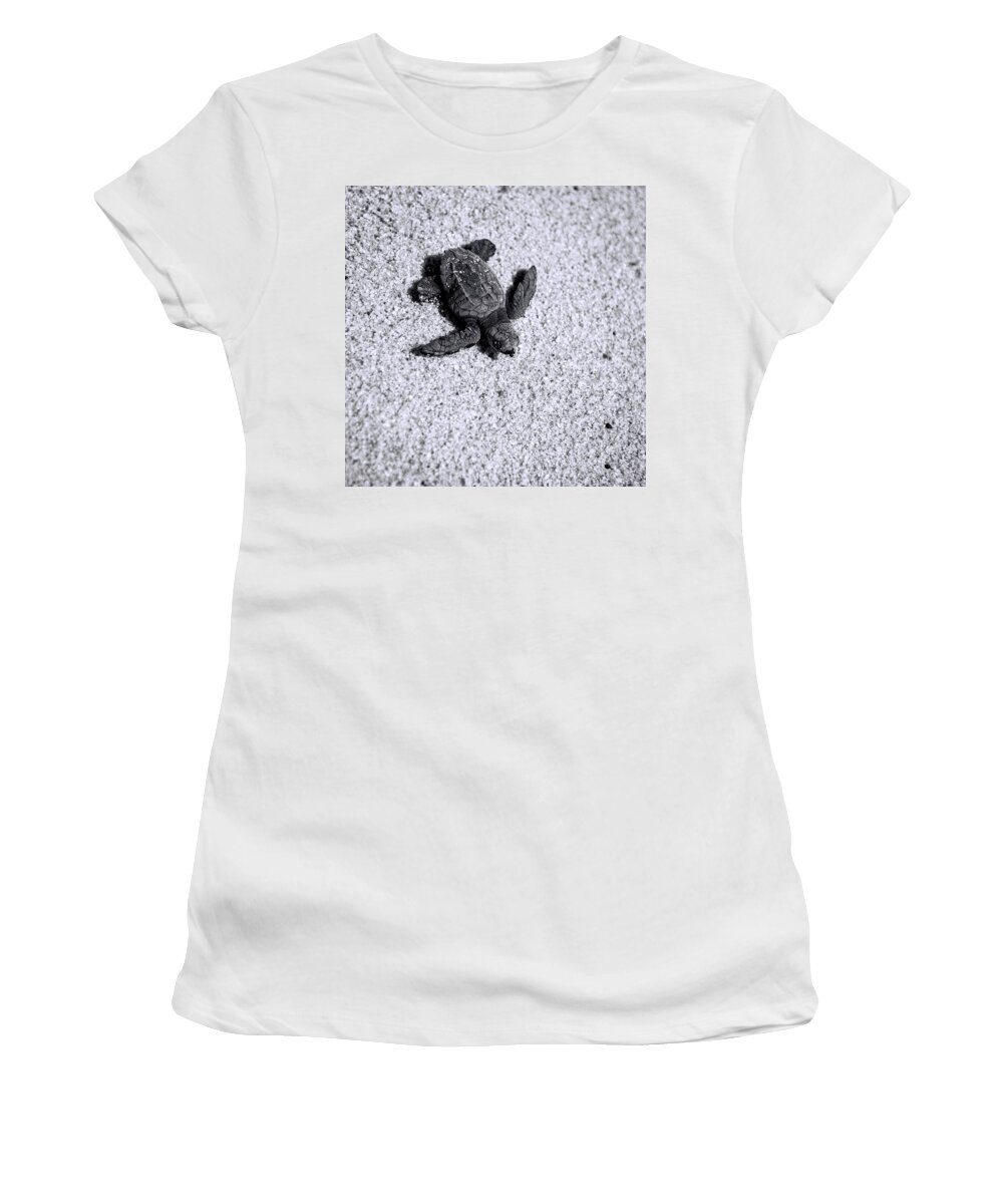 Los Cabos Women's T-Shirt featuring the photograph Sea Turtle in Black and White by Sebastian Musial