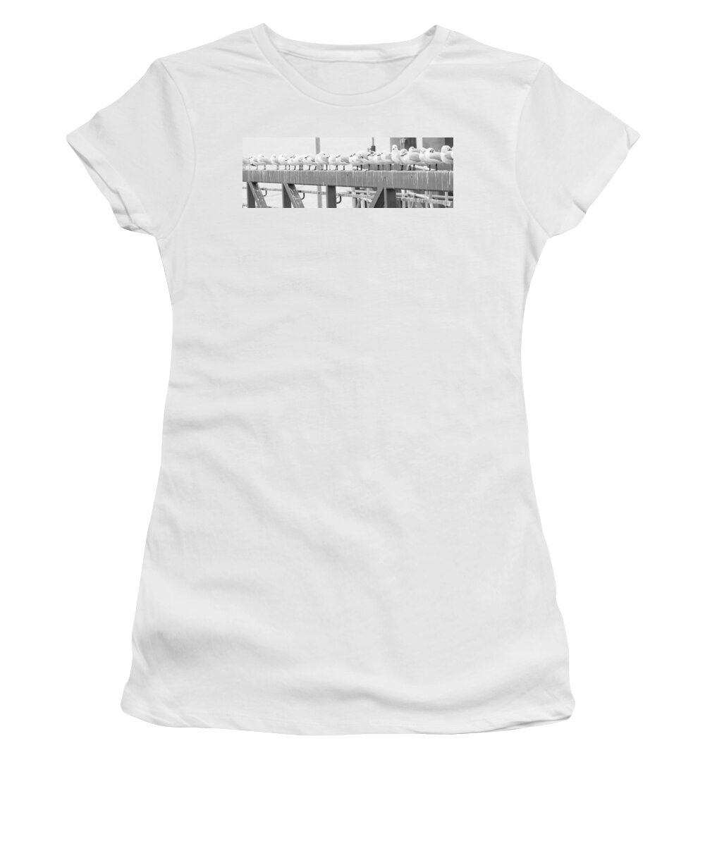 Birds Women's T-Shirt featuring the photograph Seagulls in a Row by Chevy Fleet