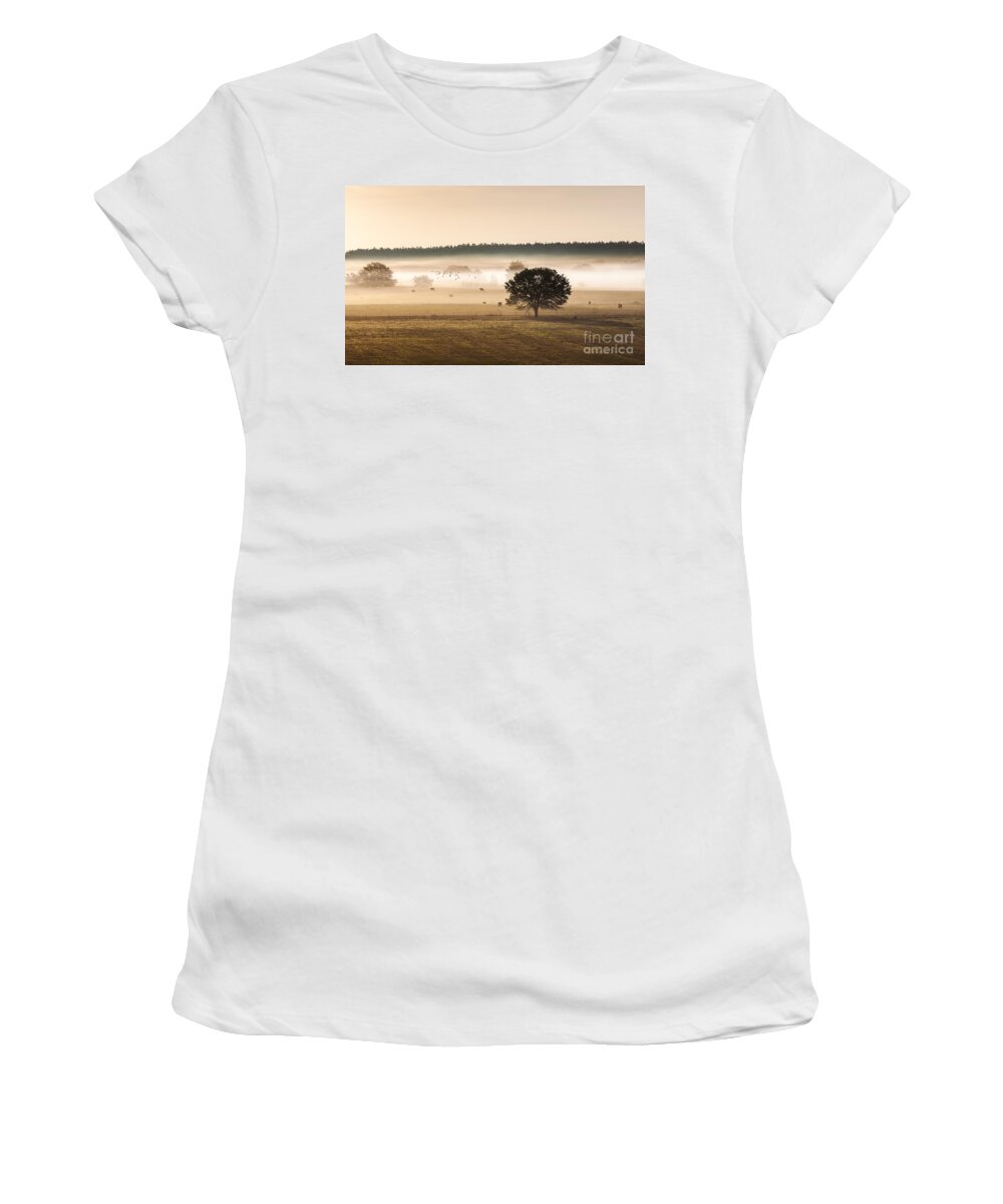 Animal Women's T-Shirt featuring the photograph Sepia Landscape from 500 feet by Jo Ann Tomaselli