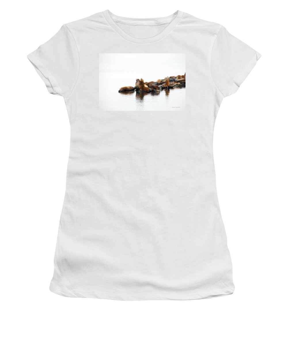 Seal Women's T-Shirt featuring the photograph Singing Seals by Donna Blackhall