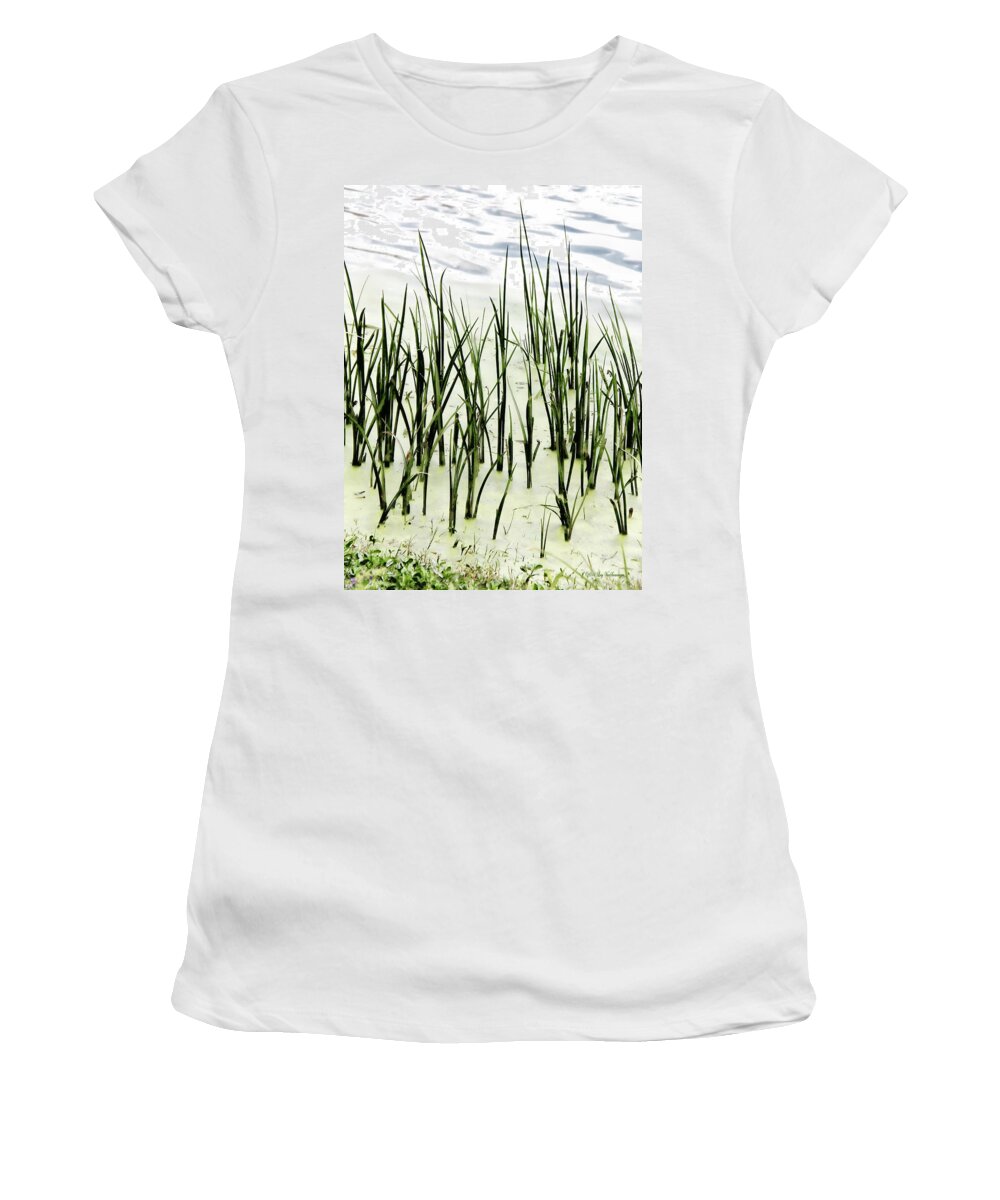 Reeds Canvas Print Women's T-Shirt featuring the photograph Slender Reeds by Lucy VanSwearingen