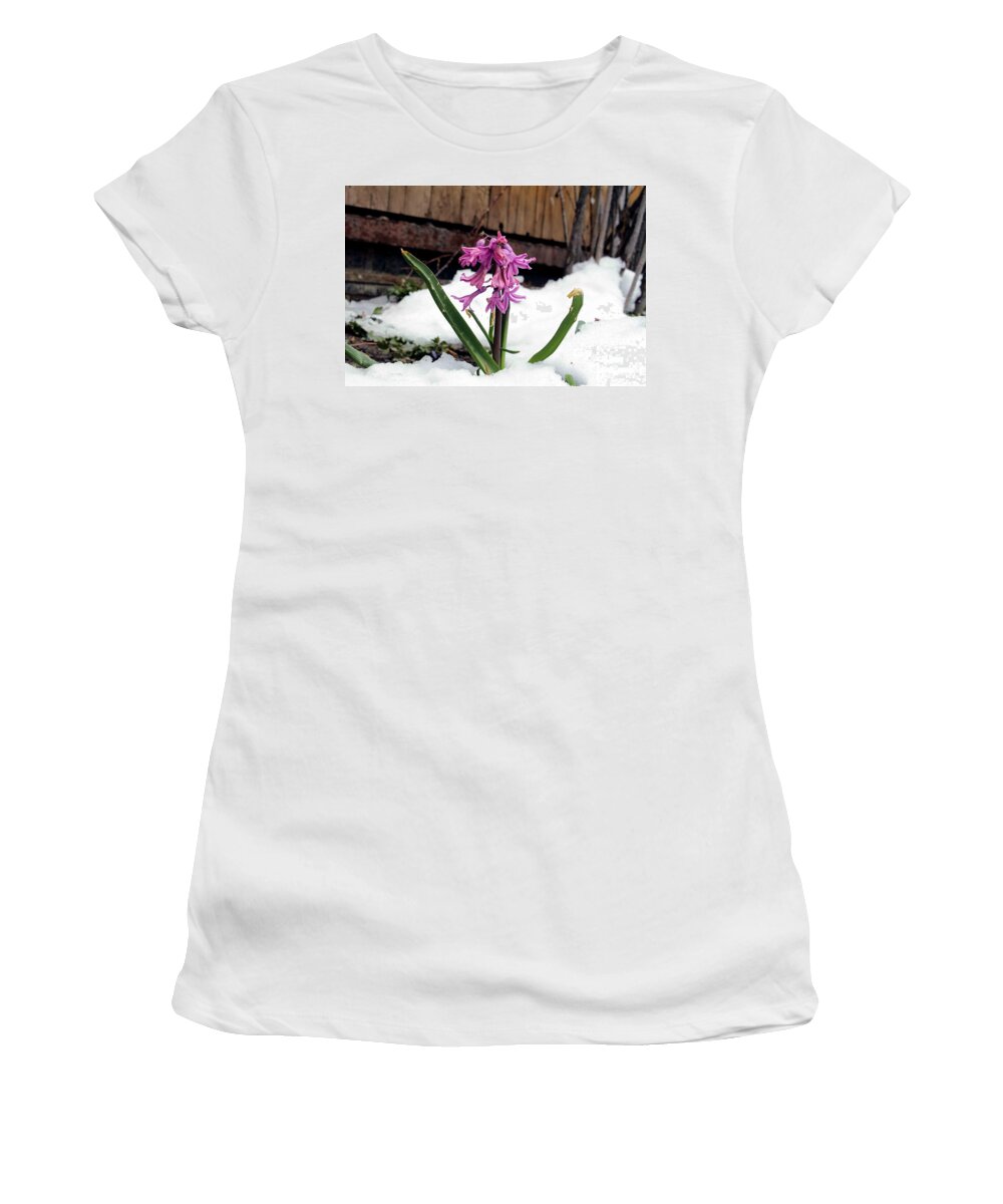 Flower Women's T-Shirt featuring the photograph Snow Flower by Fiona Kennard