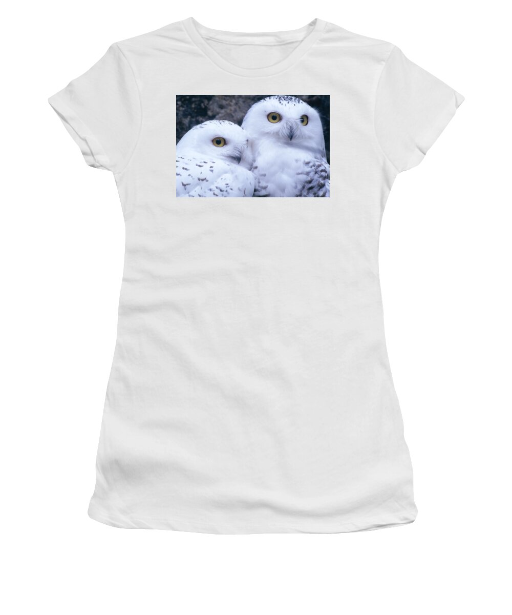 Snowy Owls Women's T-Shirt featuring the photograph Snowy Owls by Paal Hermansen