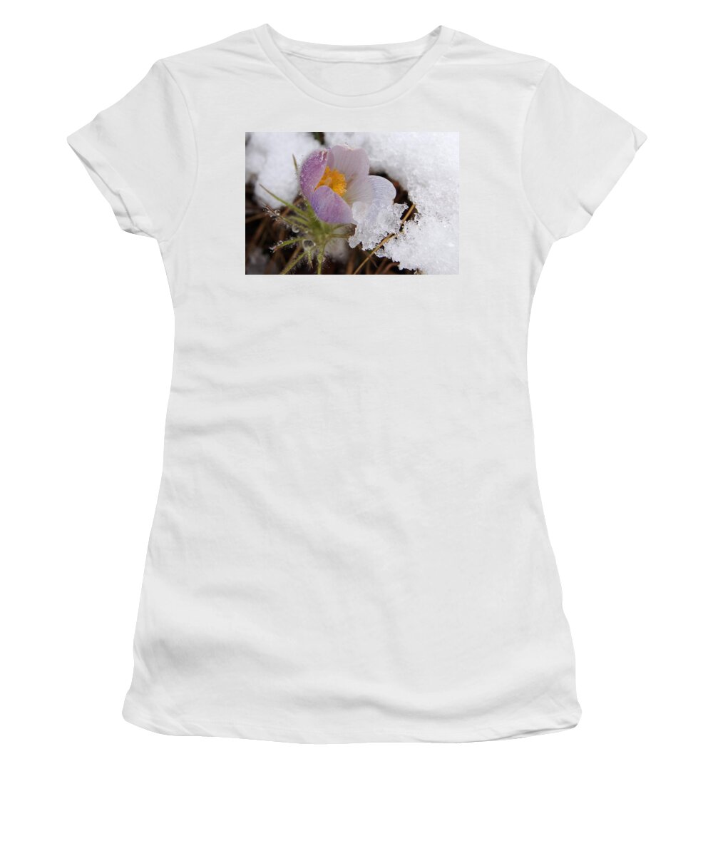 Dakota Women's T-Shirt featuring the photograph Snowy Pasqueflower by Greni Graph