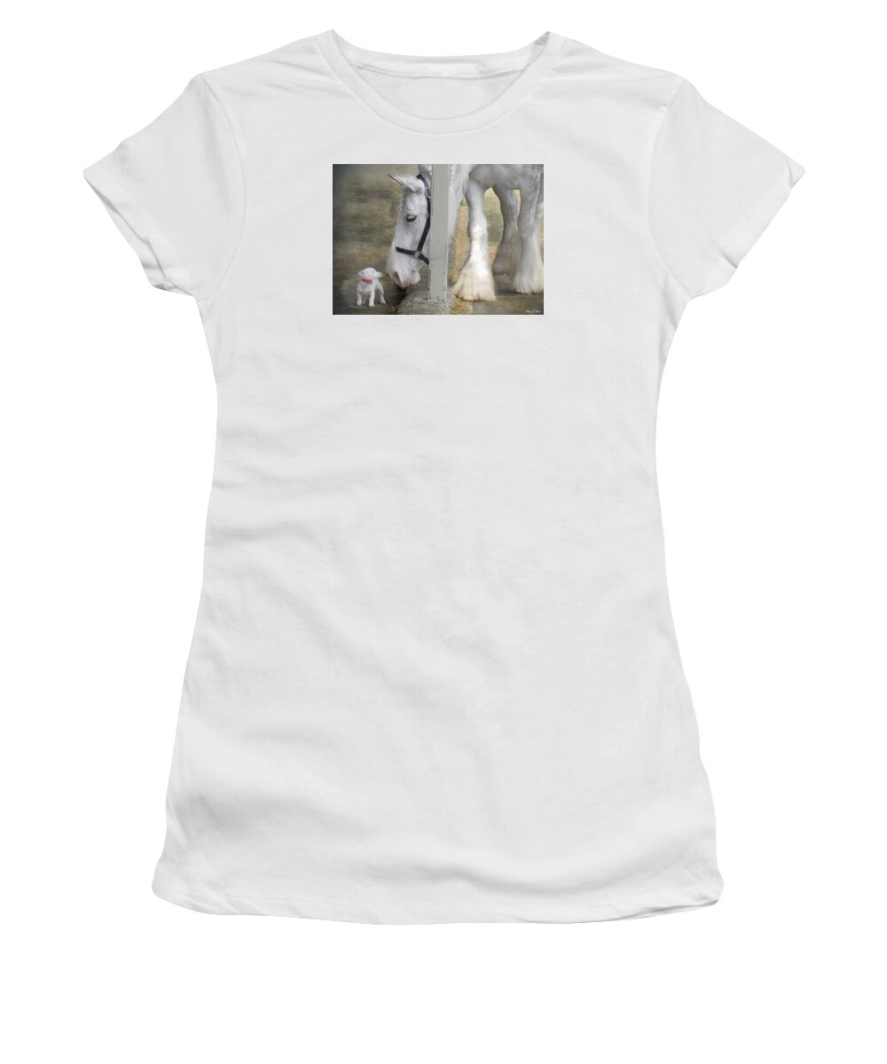 Horses Women's T-Shirt featuring the photograph Sparky and Sterling Silvia by Fran J Scott