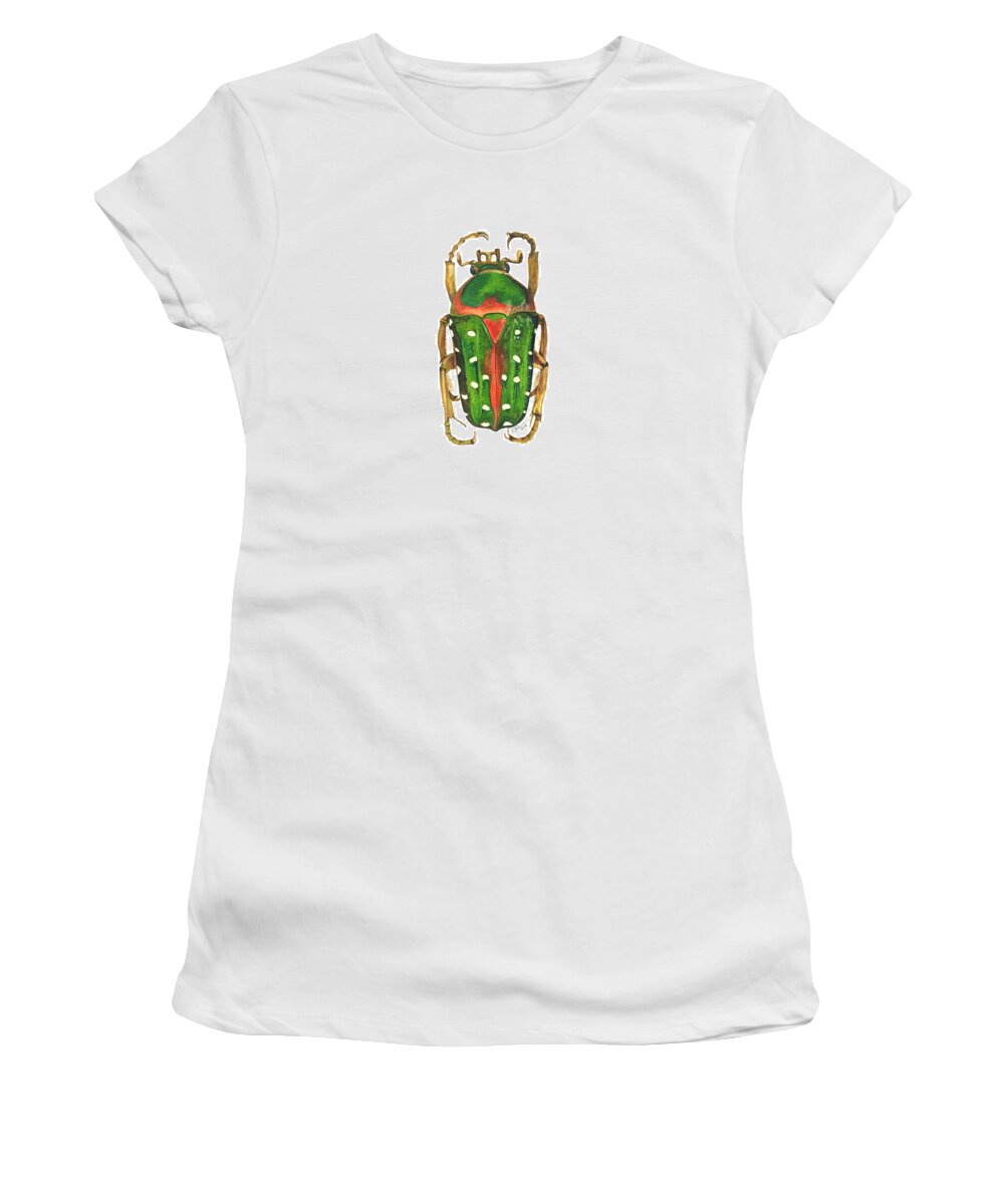 Stephanorrhina Guttata Women's T-Shirt featuring the painting Spotted Flour Beetle by Cindy Hitchcock