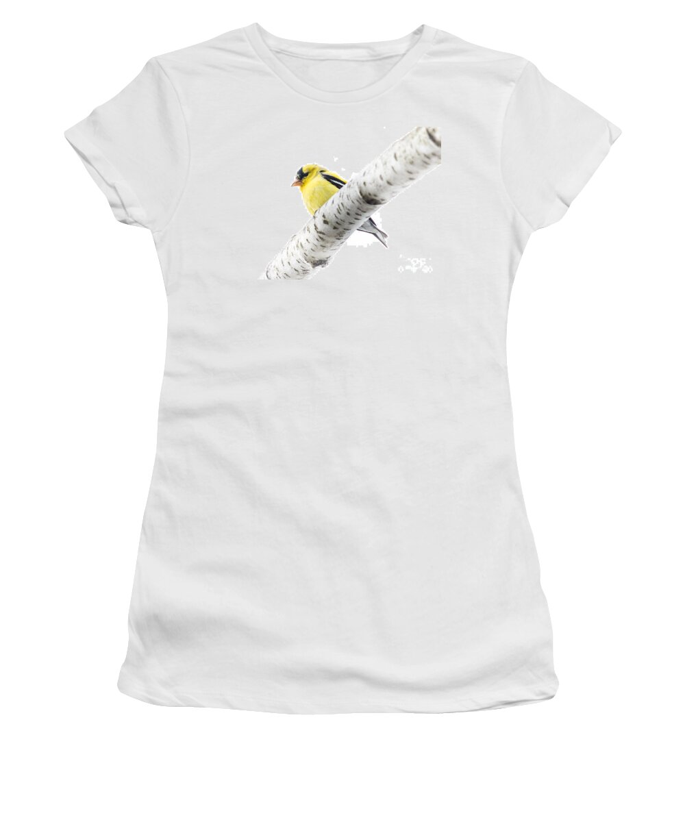 Ornithology Women's T-Shirt featuring the photograph Spring Beauty by Cheryl Baxter
