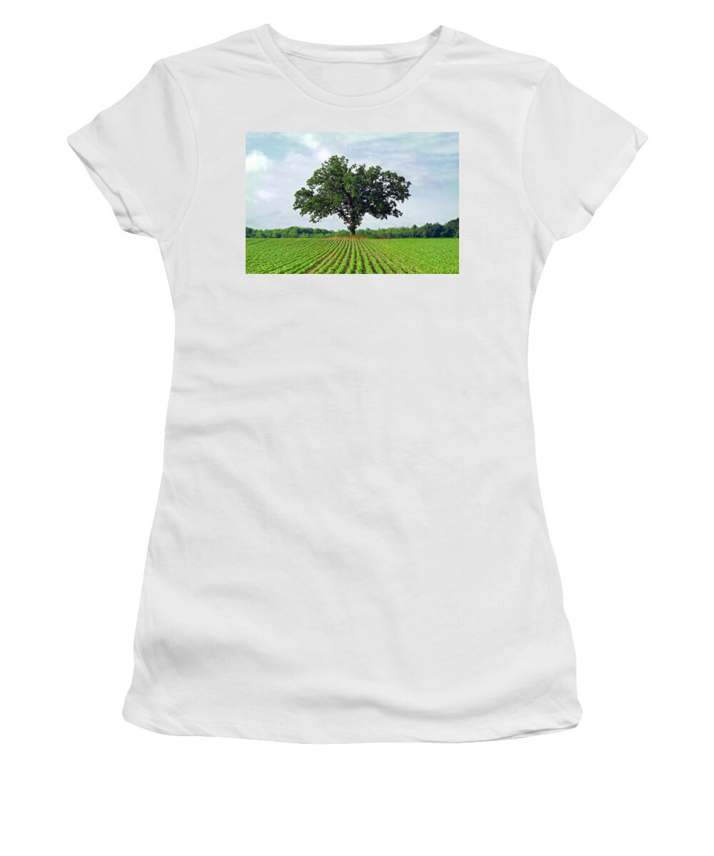 Big Women's T-Shirt featuring the photograph Standing Guard by Todd Klassy