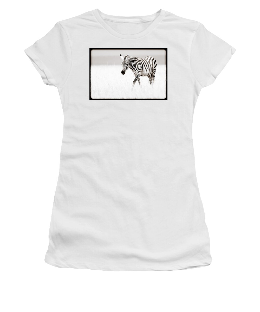 Africa Women's T-Shirt featuring the photograph Stripes On The Move by Mike Gaudaur