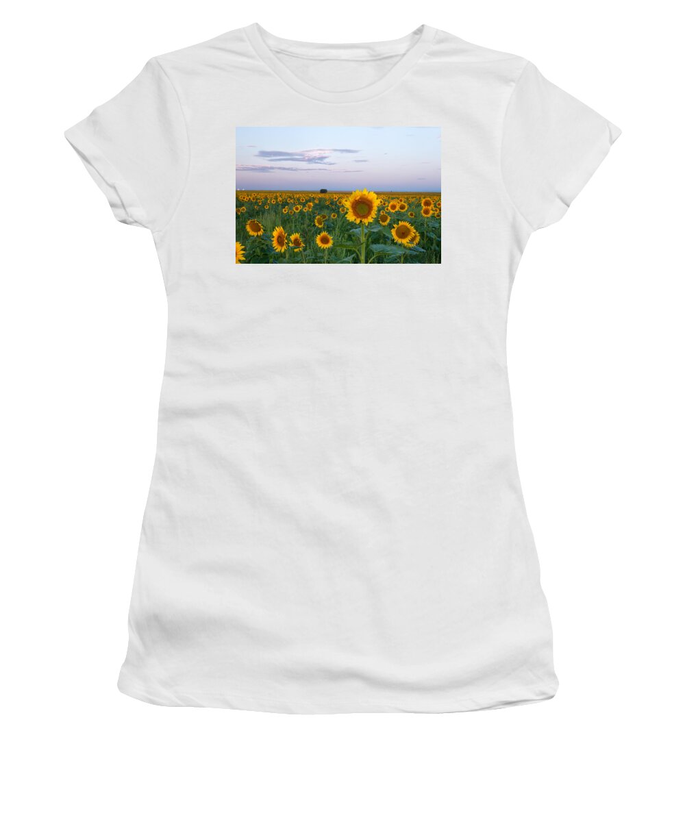 Sunflower Women's T-Shirt featuring the photograph Sunflowers at Sunrise by Ronda Kimbrow