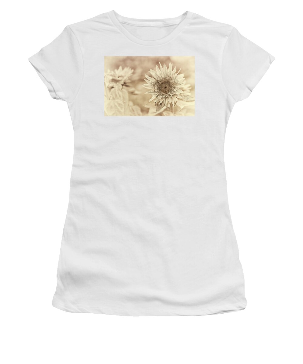 Sunflower Women's T-Shirt featuring the photograph Sunflowers In The Mist by Sue Capuano