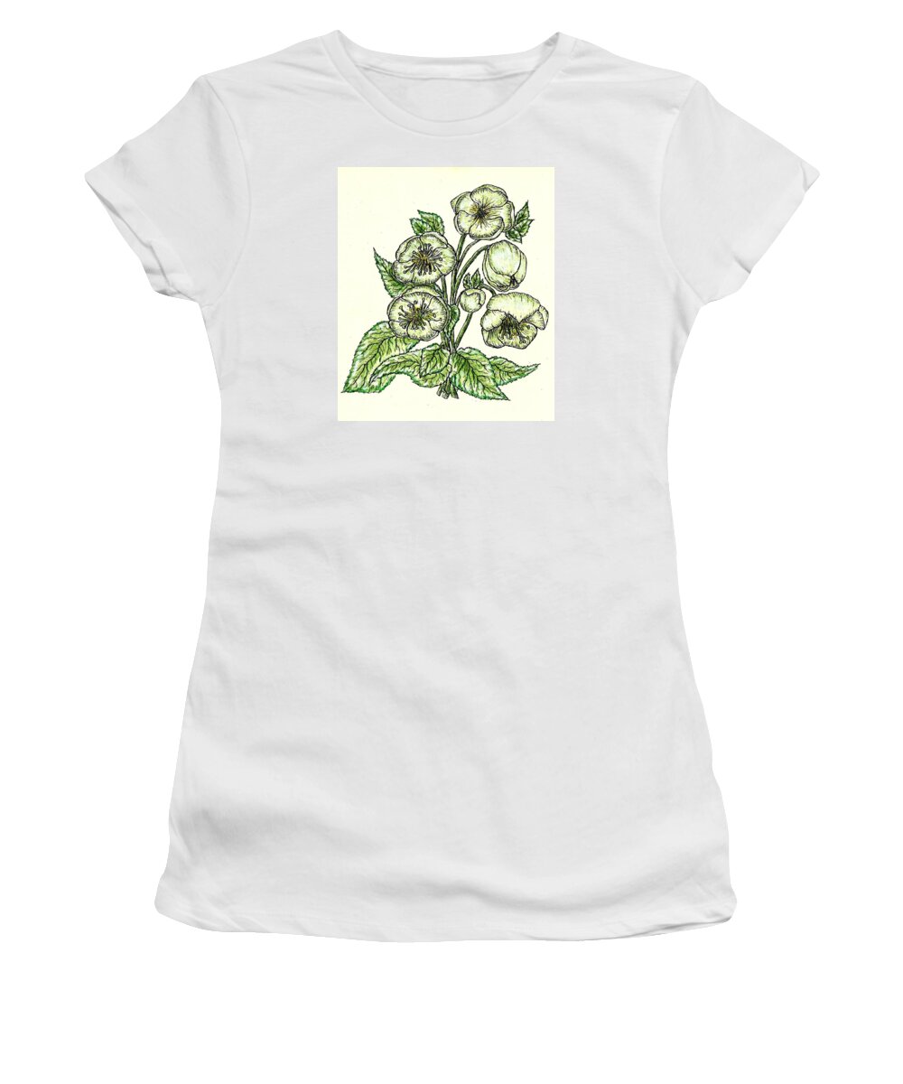 Flower Women's T-Shirt featuring the drawing The Helleborous by VLee Watson