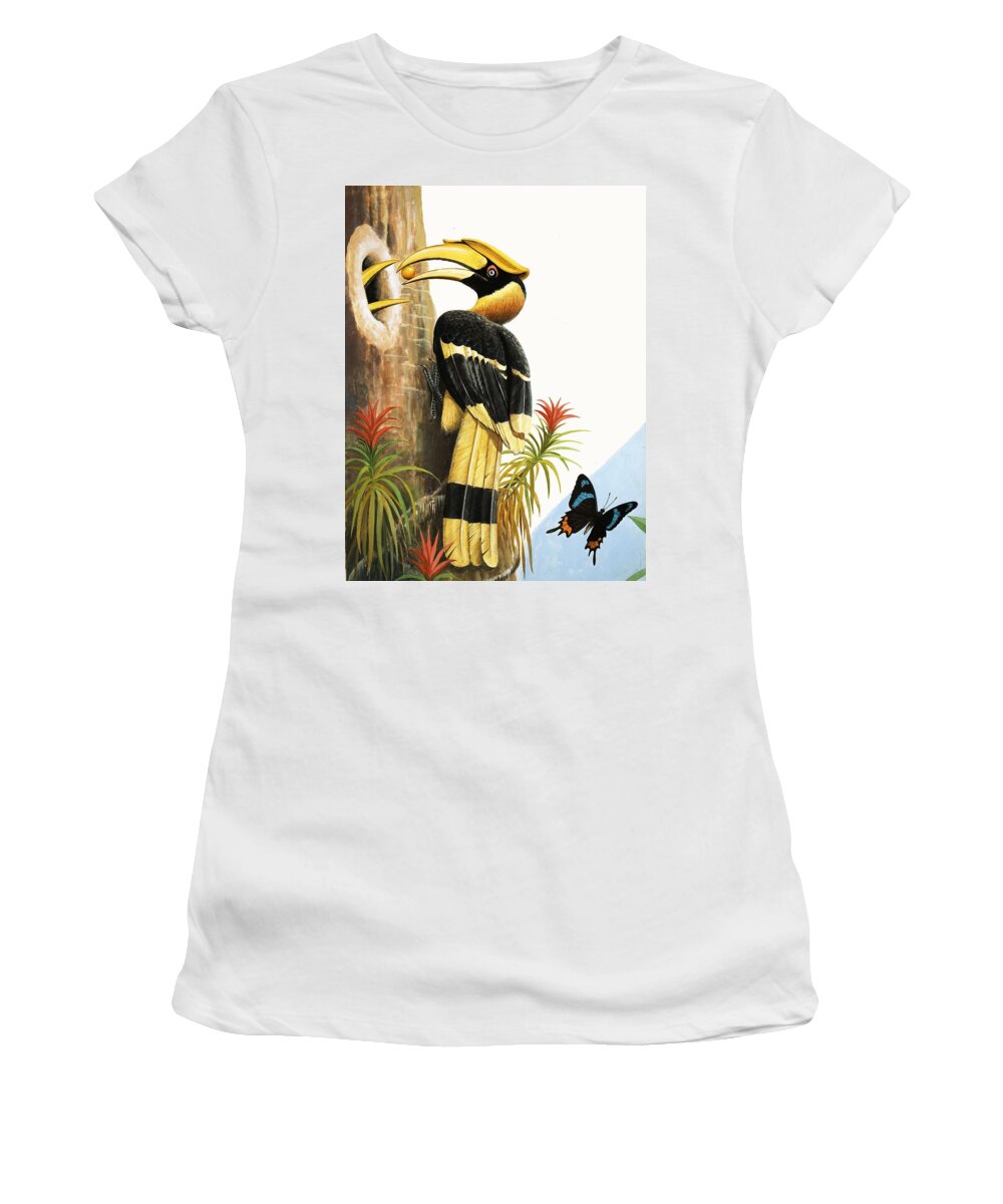 Hornbill Women's T-Shirt featuring the drawing The Hornbill by RB Davis
