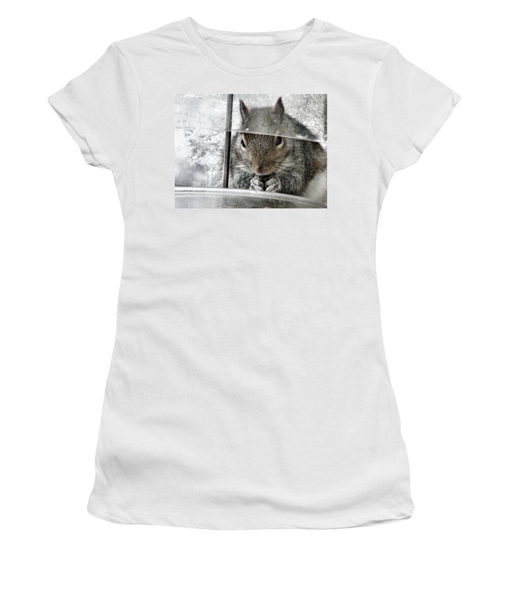 Squirrel Women's T-Shirt featuring the photograph Thief In The Birdfeeder by Rory Siegel