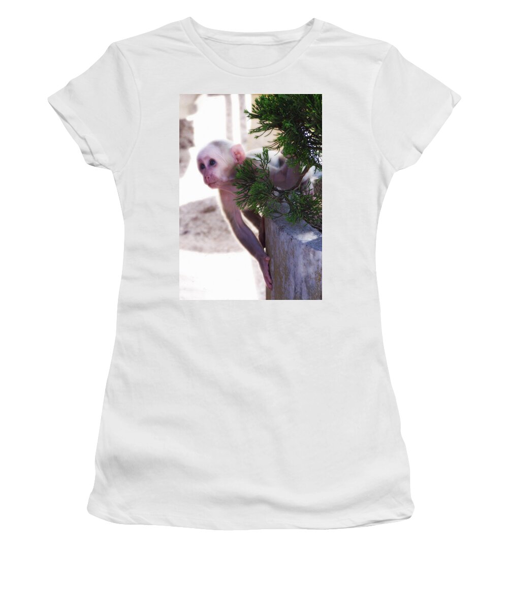 Tibetan Macaques Women's T-Shirt featuring the photograph Tibetan Macaques by Tracy Winter