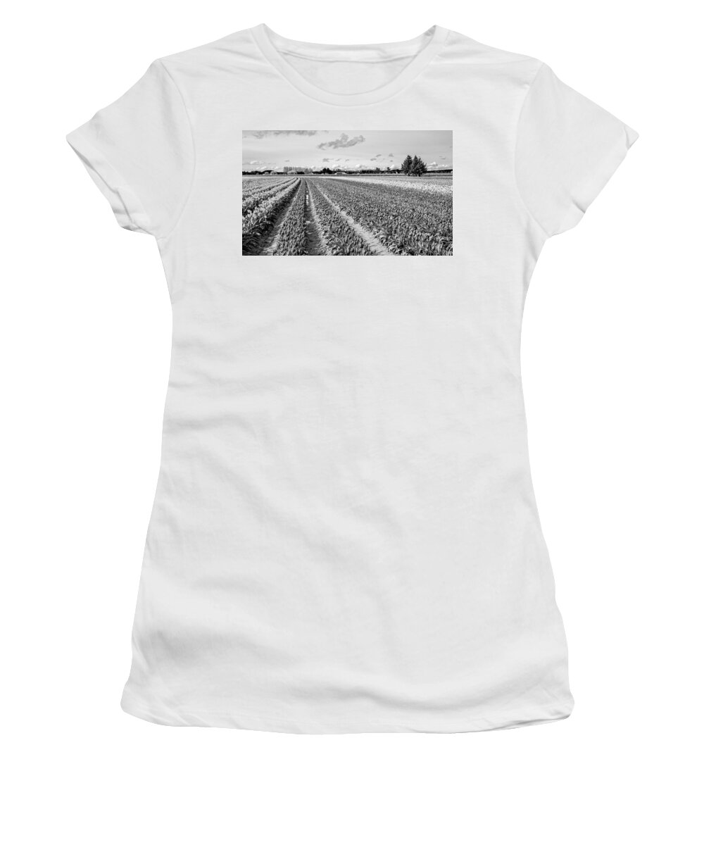 Tulip Field Women's T-Shirt featuring the photograph Tulip Fields In Spring 3 by Priya Ghose