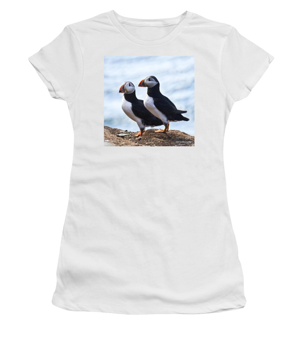 Bird Women's T-Shirt featuring the photograph Two Puffins just Landed on Hornoya by Heiko Koehrer-Wagner