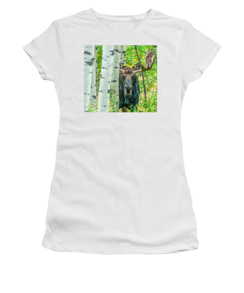 Moose Women's T-Shirt featuring the photograph Vagabond Saddle by Kevin Dietrich