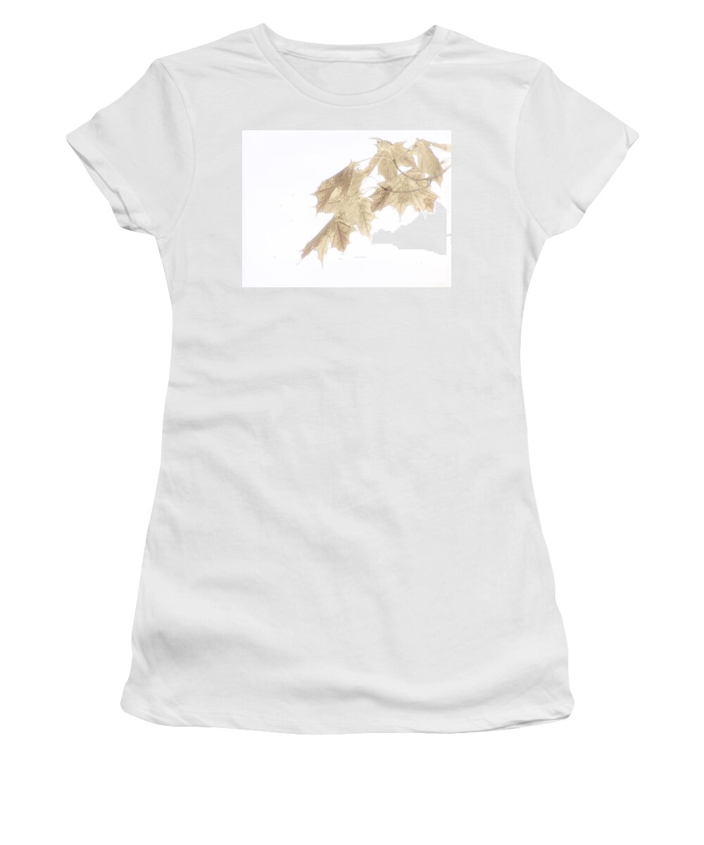 Leaves Women's T-Shirt featuring the photograph When the Colors Fade by Lucinda Walter