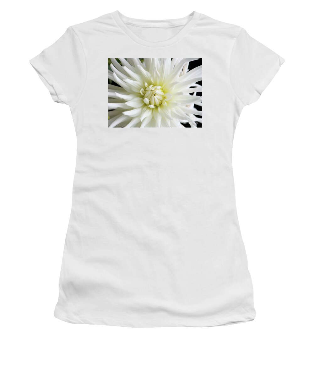 White Flowers Women's T-Shirt featuring the photograph White Dahlia by Lisa Billingsley