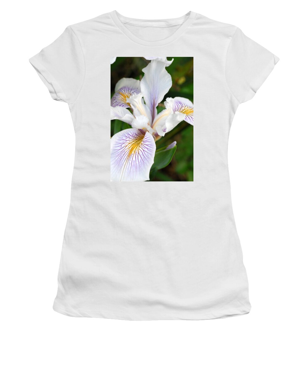 Flower Women's T-Shirt featuring the photograph White Iris 2 by Amy Fose