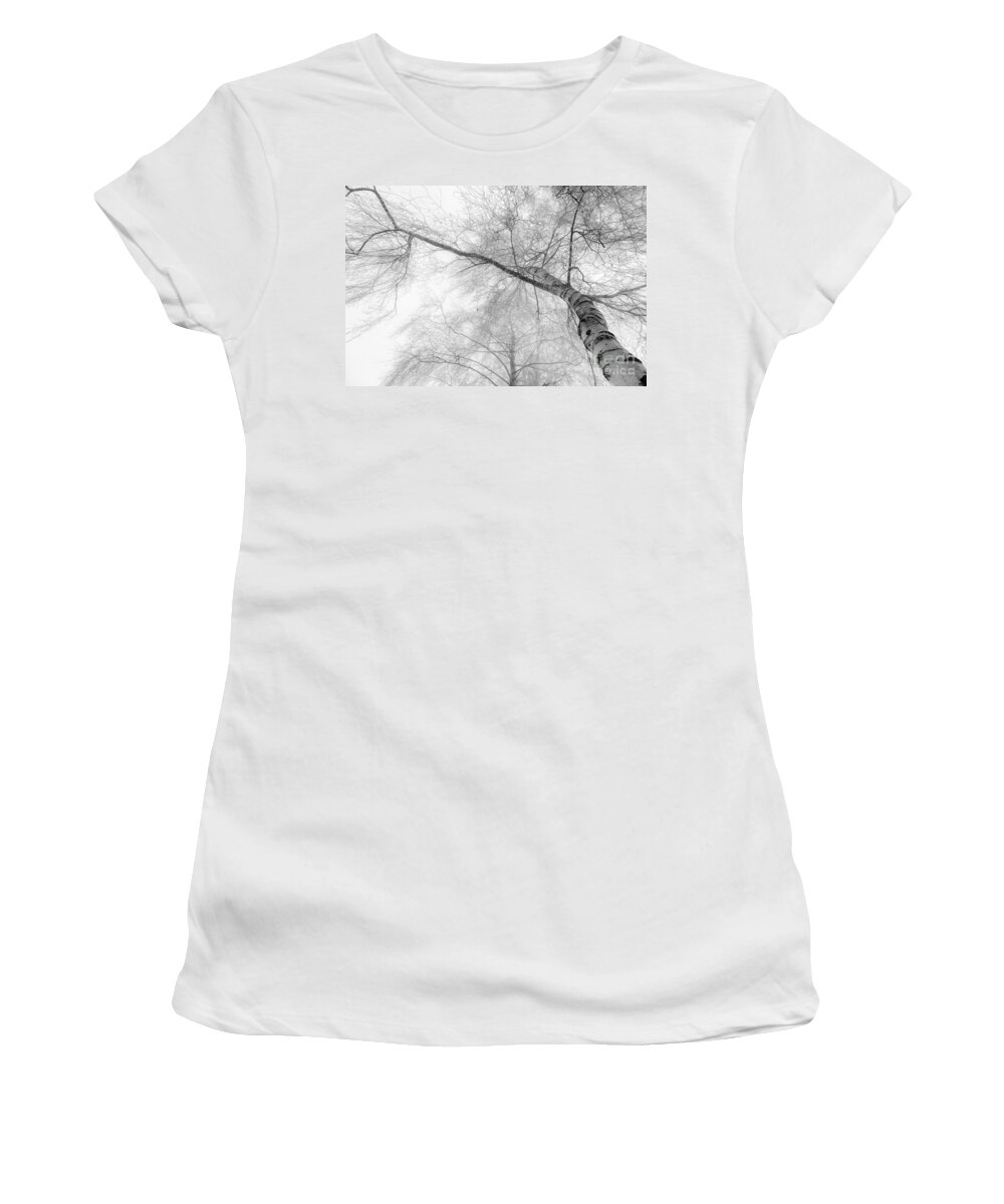 Birch Women's T-Shirt featuring the photograph Winter Birch - Bw by Hannes Cmarits