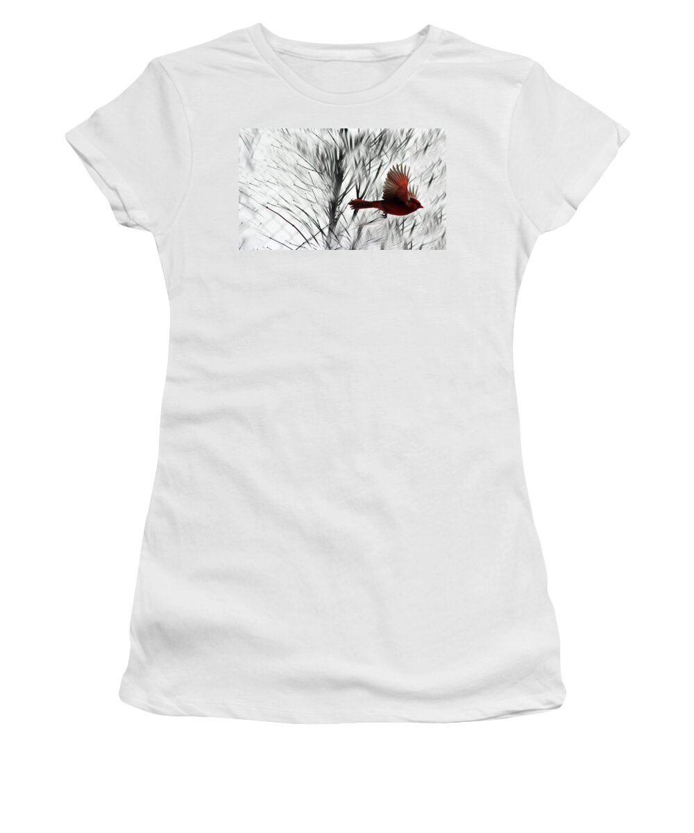 Cardinal Women's T-Shirt featuring the photograph Winter Cardinal by Heather Applegate