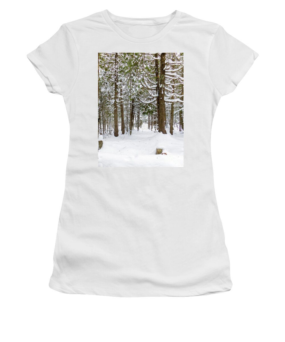 Winter Picture Women's T-Shirt featuring the photograph Winter Morning by Gwen Gibson