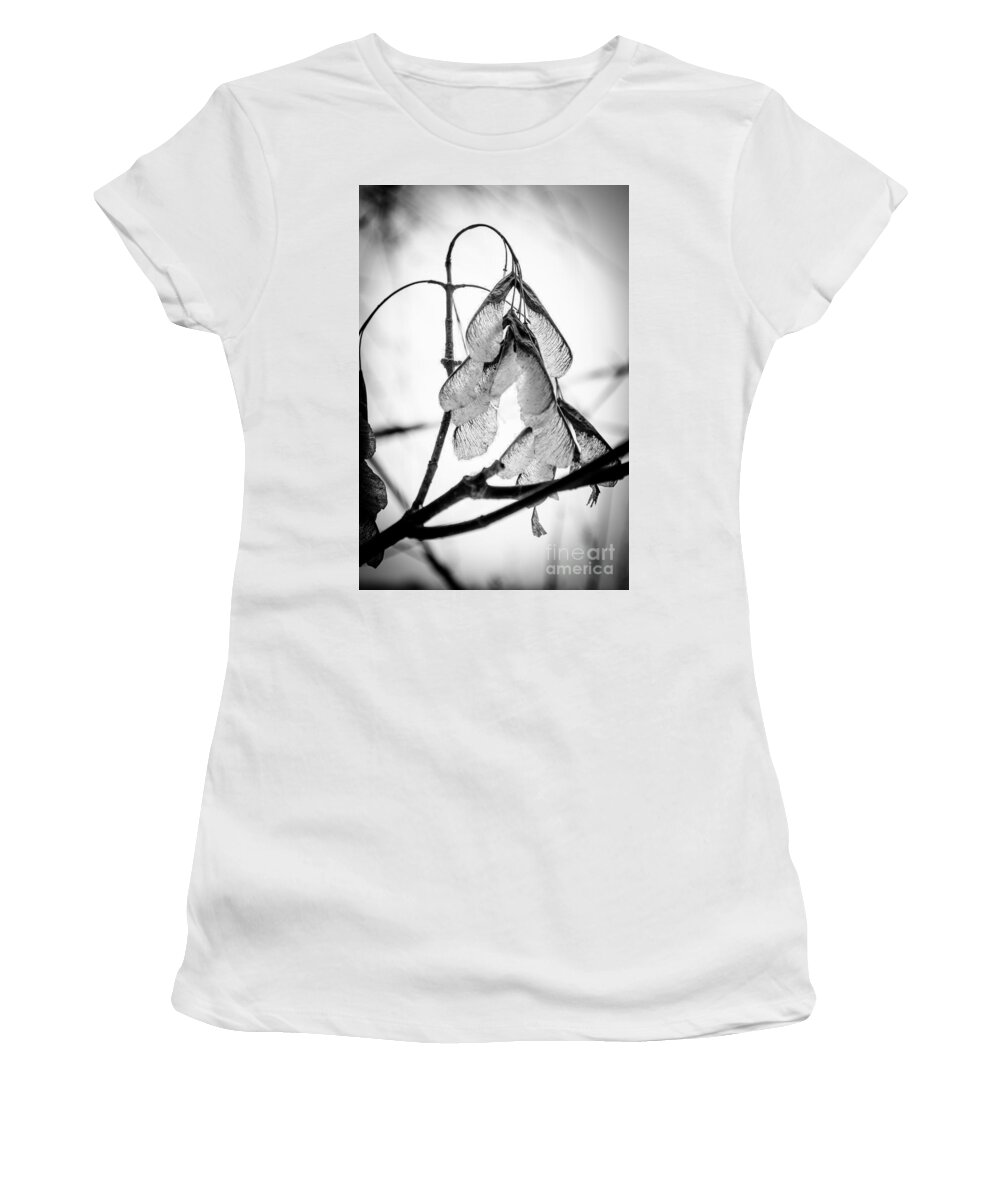 Leaves Women's T-Shirt featuring the photograph Winter Seeds by Michael Arend
