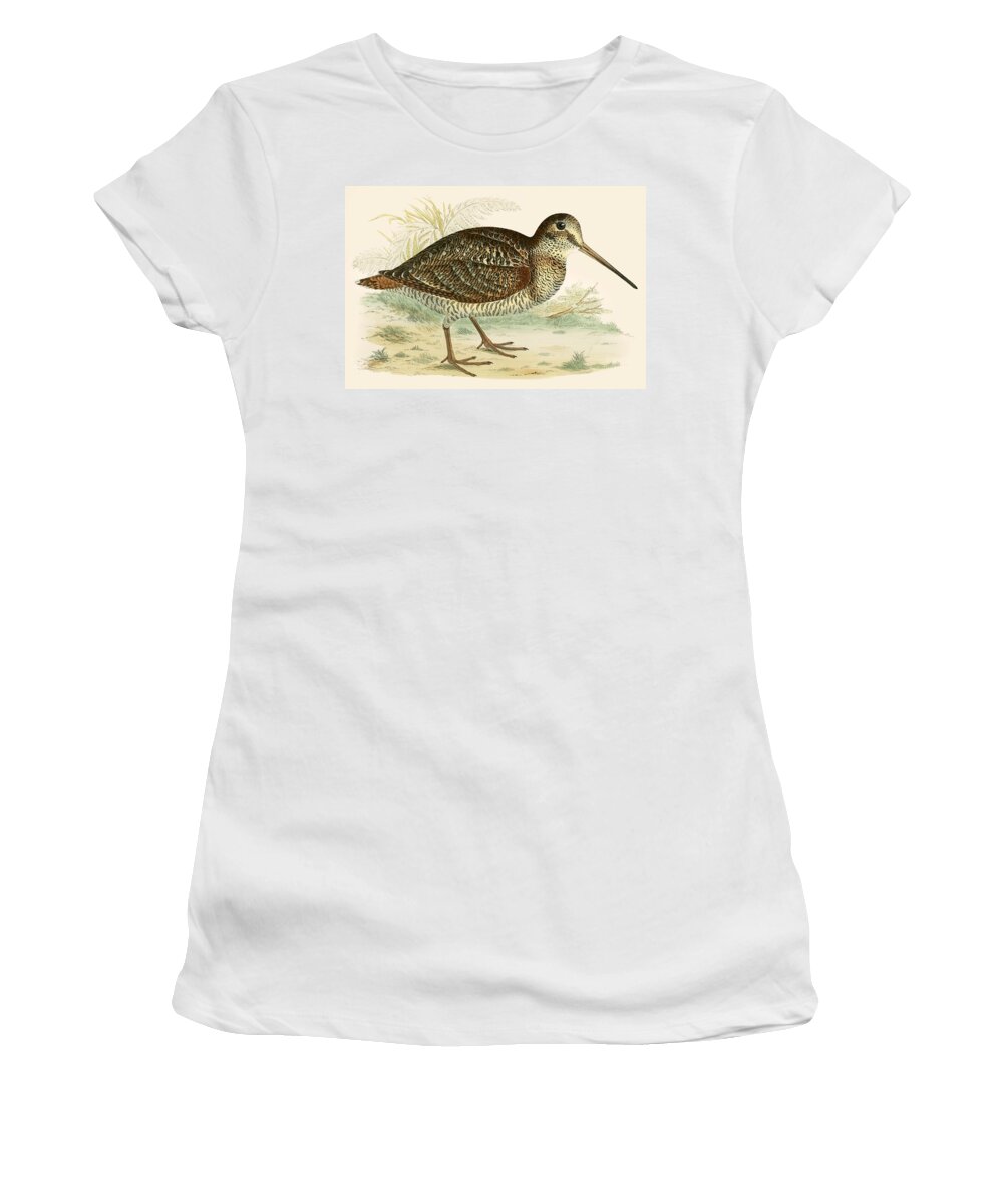 Birds Women's T-Shirt featuring the painting Woodcock by Beverley R Morris