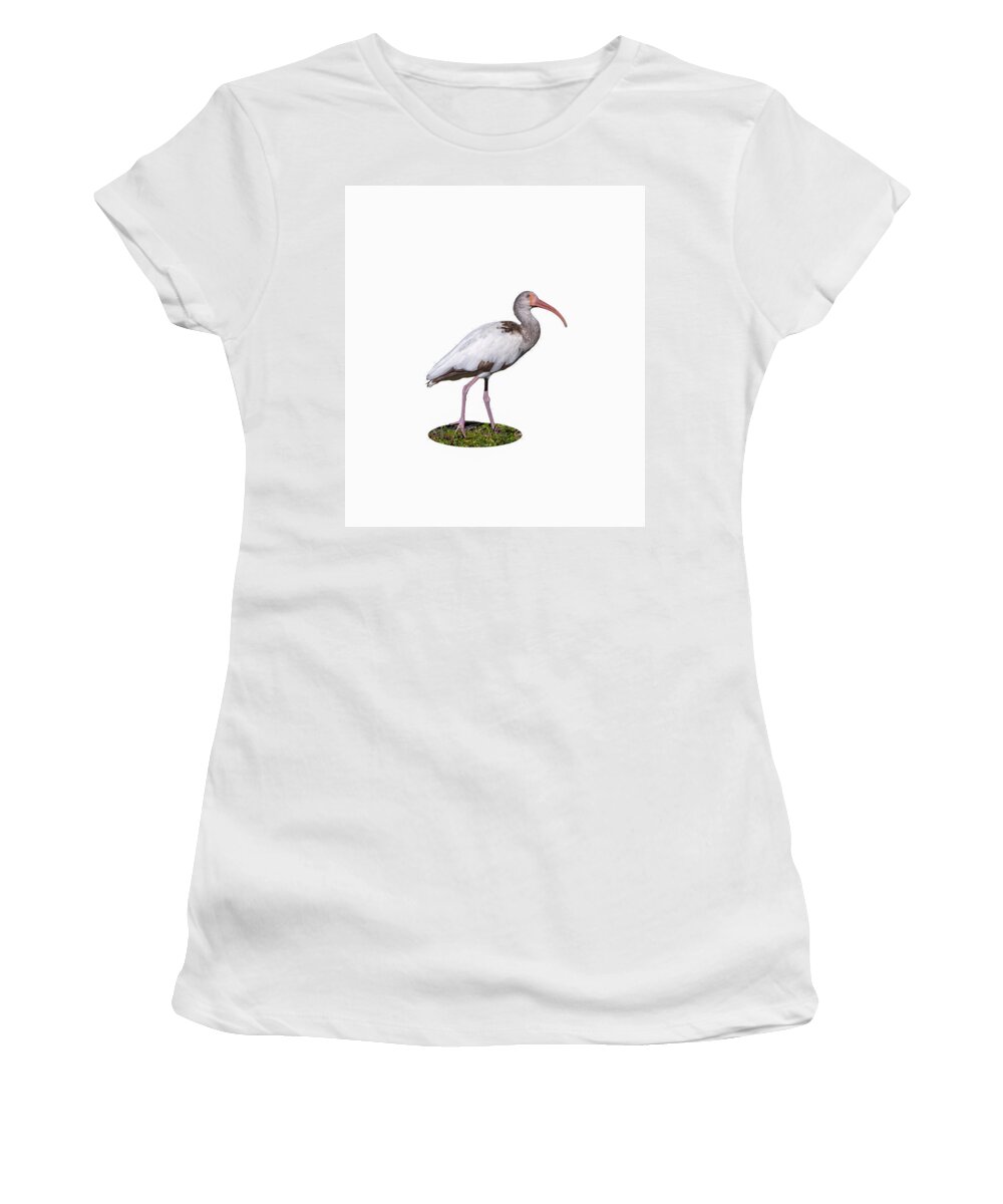 Bird Women's T-Shirt featuring the photograph Young Ibis Gazing Upwards by John M Bailey