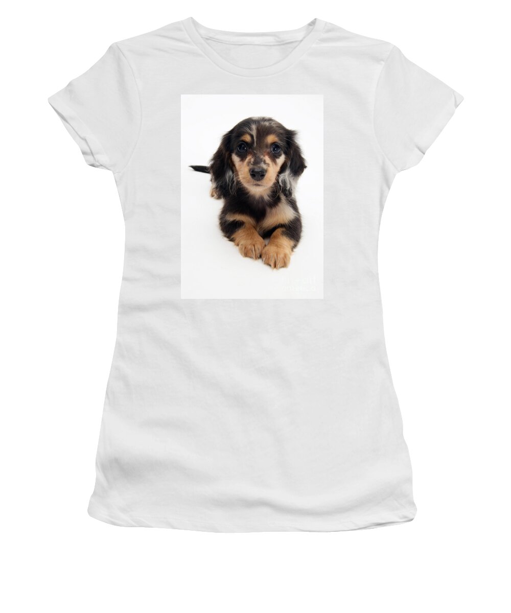 Dachshund Women's T-Shirt featuring the photograph Dachshund Pup by Jane Burton