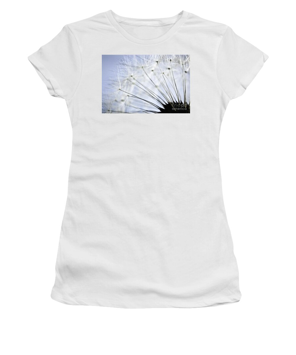 Dandelion Women's T-Shirt featuring the photograph Dandelion by Elena Elisseeva