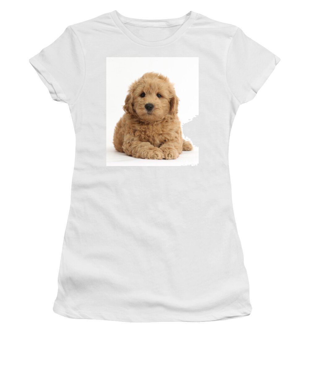 Nature Women's T-Shirt featuring the photograph Goldendoodle Puppy #1 by Mark Taylor