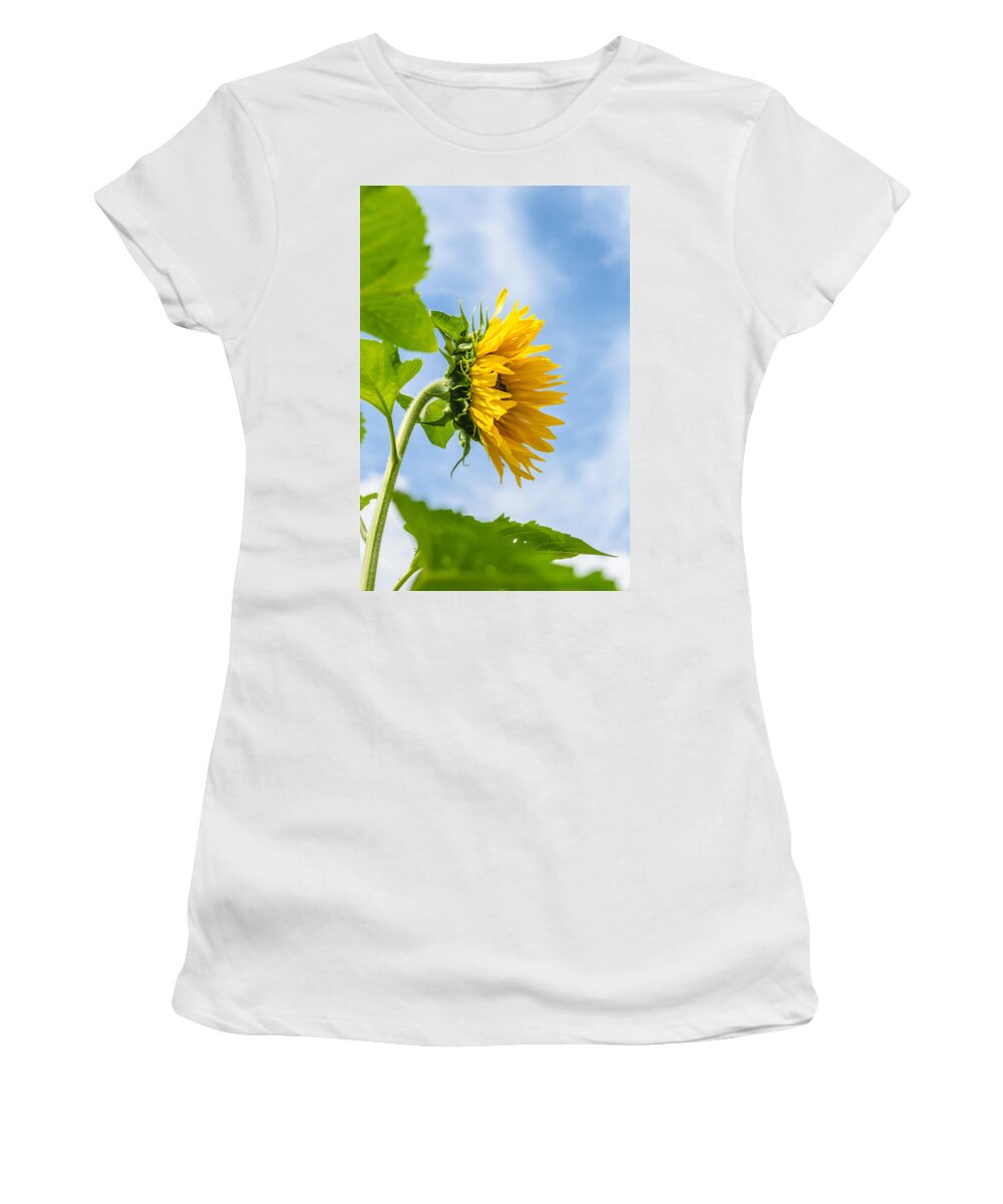Orange Women's T-Shirt featuring the photograph Sunflower #4 by Michael Goyberg