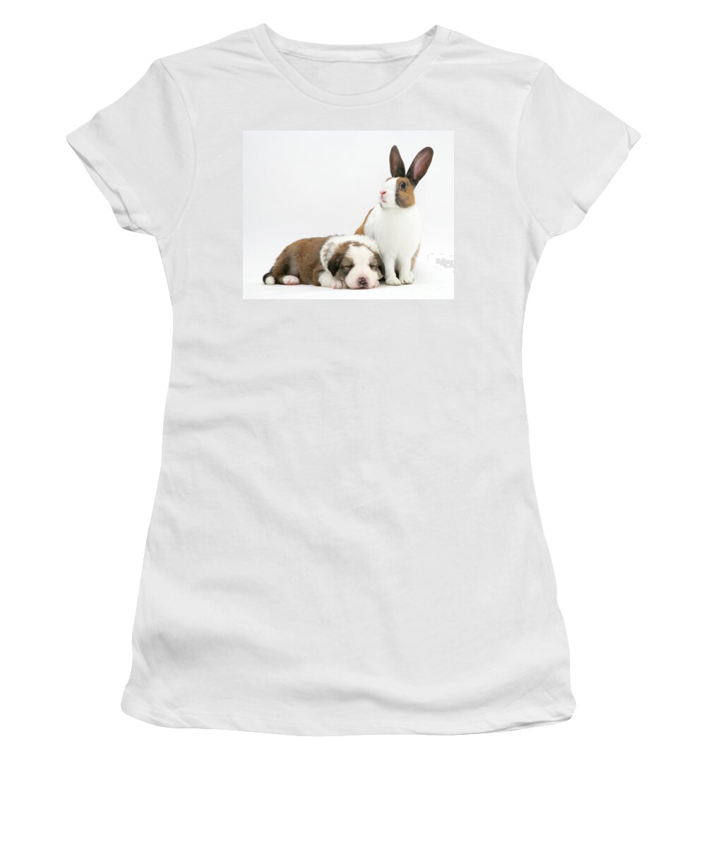 Fawn Dutch Rabbit Women's T-Shirt featuring the photograph Rabbit And Puppy #5 by Jane Burton