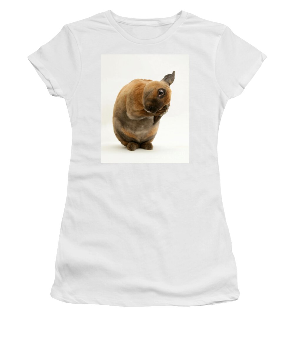 Animal Women's T-Shirt featuring the photograph Sooty-fawn Dwarf Rex Rabbit #5 by Jane Burton