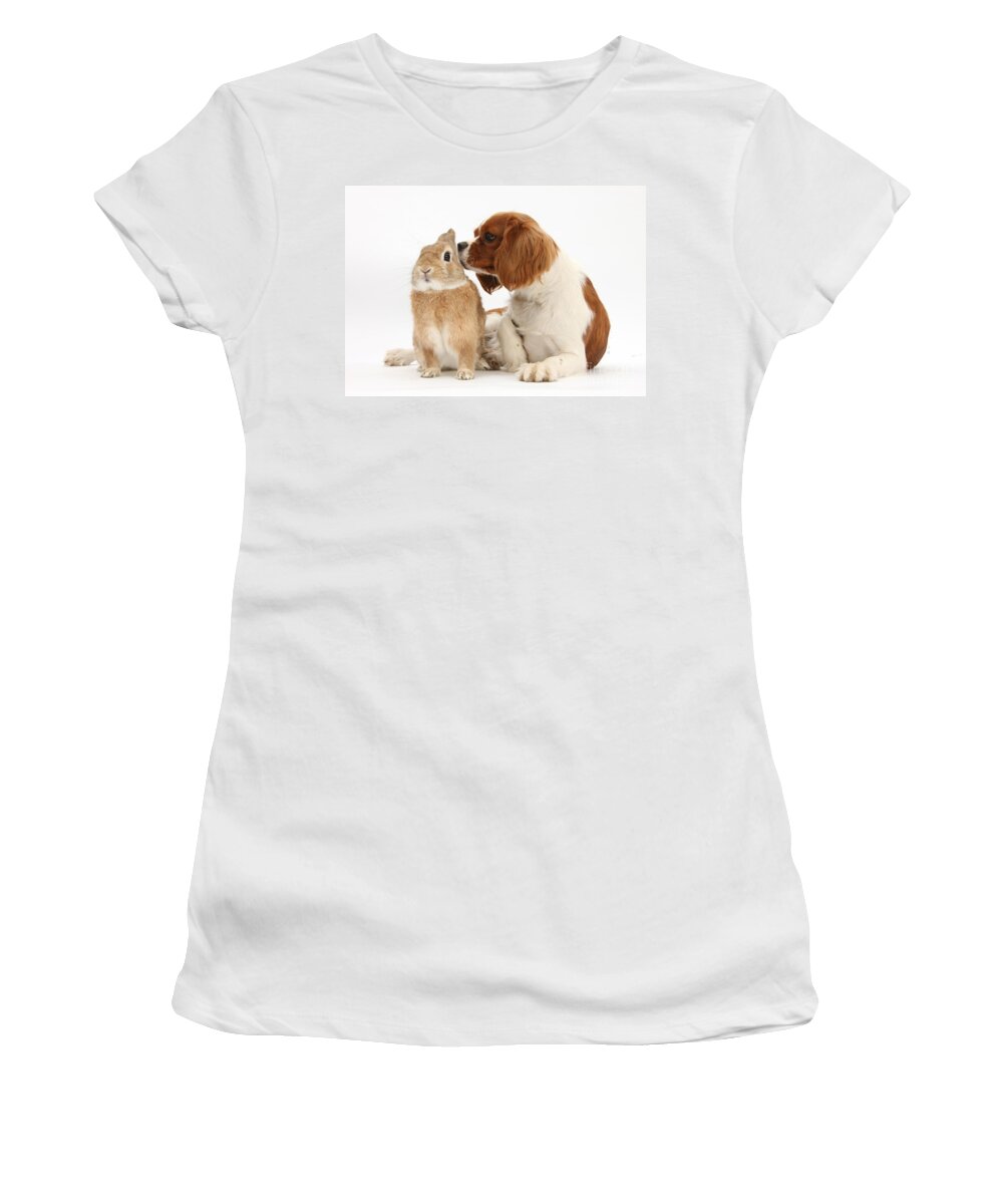 Nature Women's T-Shirt featuring the photograph Cavalier King Charles Spaniel #7 by Mark Taylor