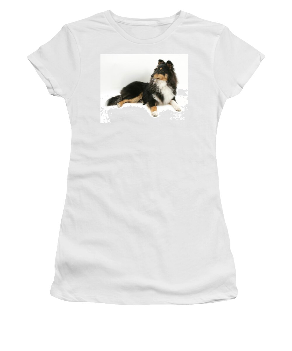 Animal Women's T-Shirt featuring the photograph Sheltie by Jane Burton