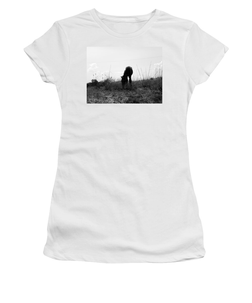 Wild Women's T-Shirt featuring the photograph A Final Graze A Dusk by Kim Galluzzo