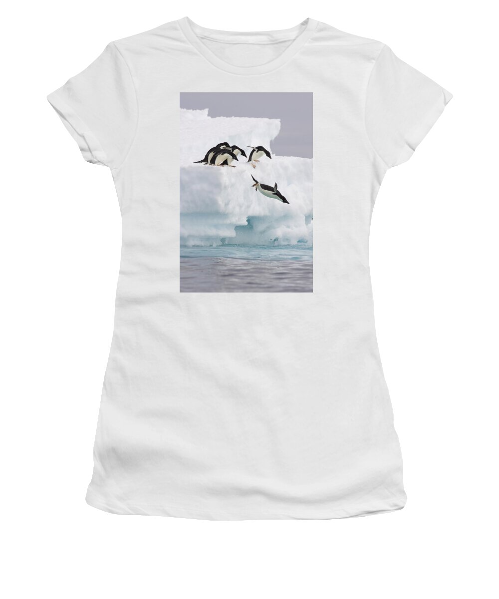 00761831 Women's T-Shirt featuring the photograph Adelie Penguin Diving Antarctica by Suzi Eszterhas