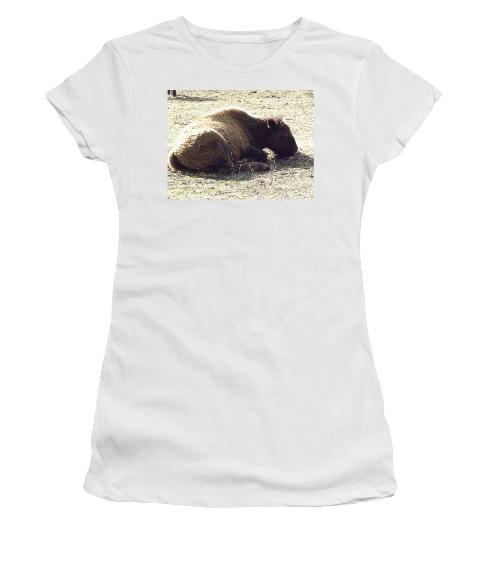 Baby Women's T-Shirt featuring the photograph Baby Resting by Kim Galluzzo