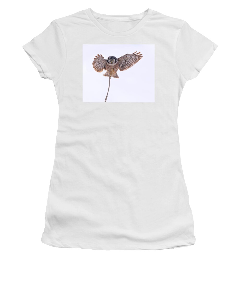 Northern Hawk-owl Women's T-Shirt featuring the photograph Balance by Tony Beck